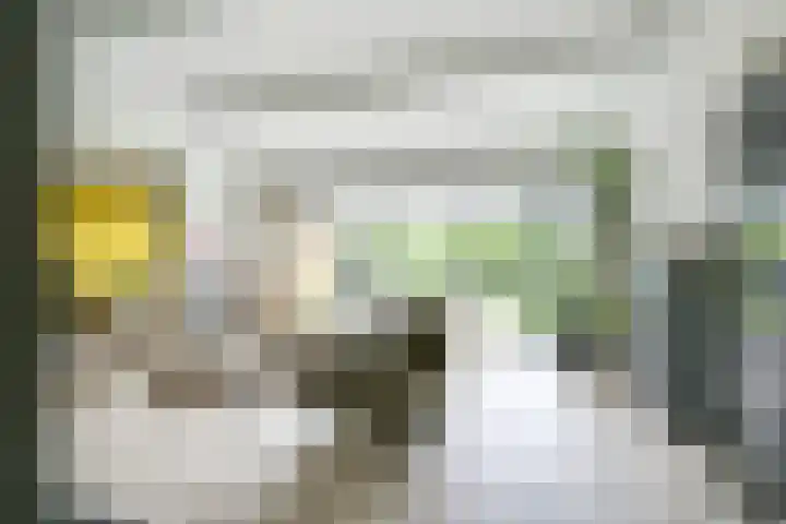 Pleinstraat 3 Hei- en Boeicop thumbnail 12