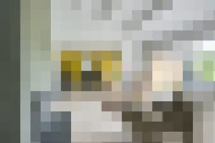 Pleinstraat 3 Hei- en Boeicop thumbnail 13