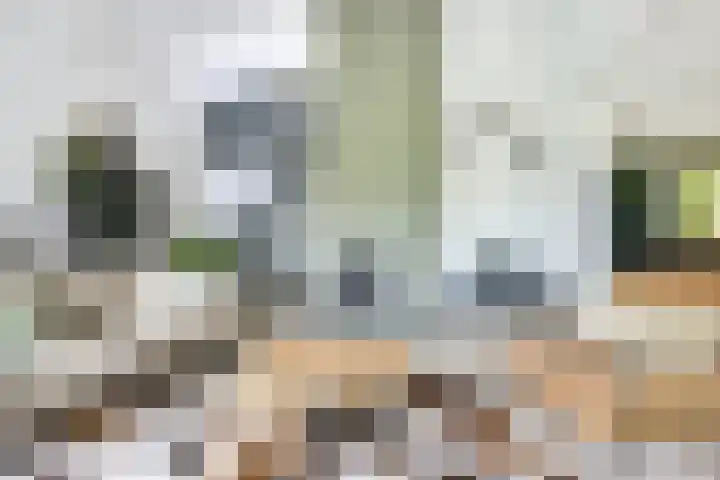 Pleinstraat 3 Hei- en Boeicop thumbnail 14