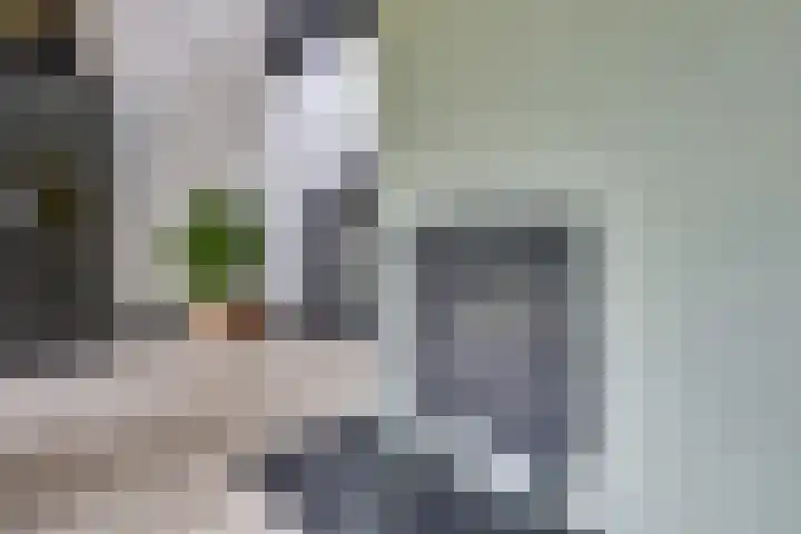 Pleinstraat 3 Hei- en Boeicop thumbnail 17