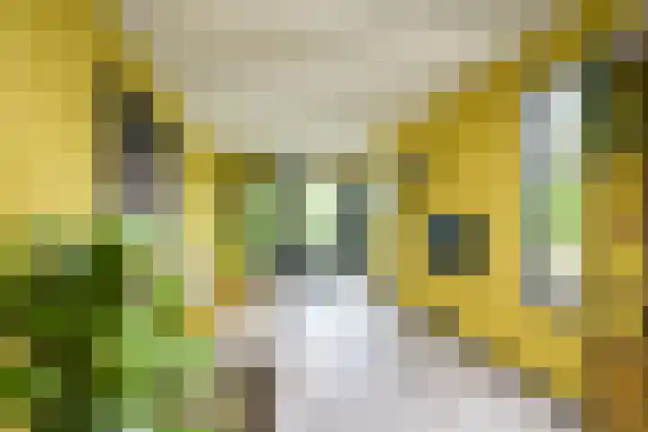 Pleinstraat 3 Hei- en Boeicop thumbnail 22