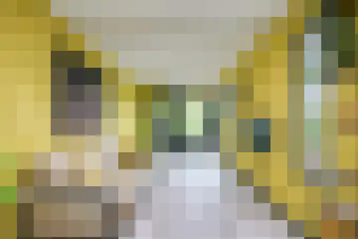 Pleinstraat 3 Hei- en Boeicop thumbnail 23