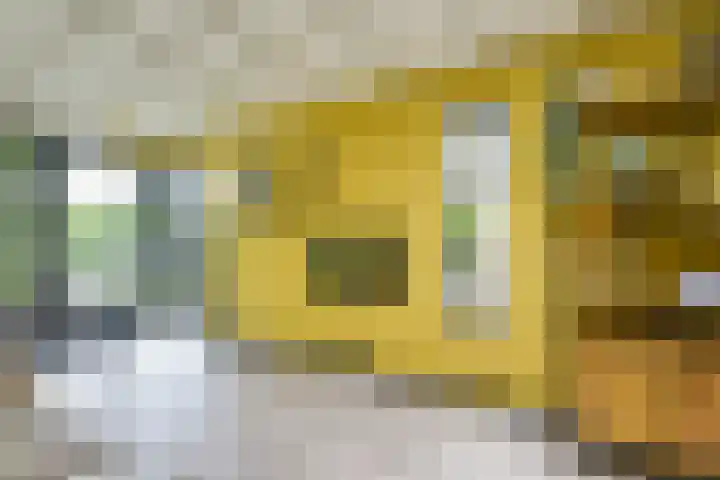 Pleinstraat 3 Hei- en Boeicop thumbnail 24