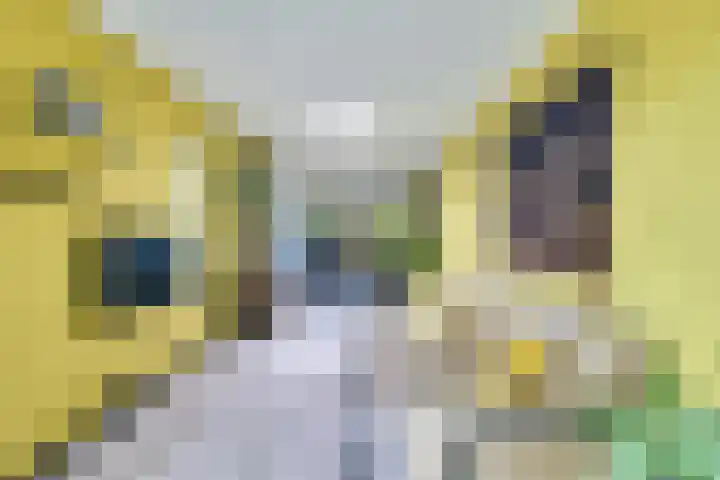 Pleinstraat 3 Hei- en Boeicop thumbnail 26