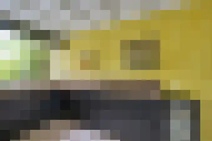 Pleinstraat 3 Hei- en Boeicop thumbnail 29
