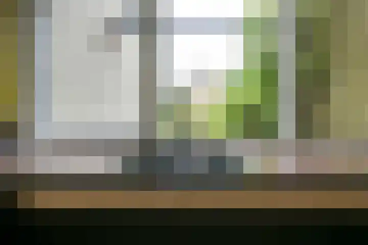 Pleinstraat 3 Hei- en Boeicop thumbnail 31