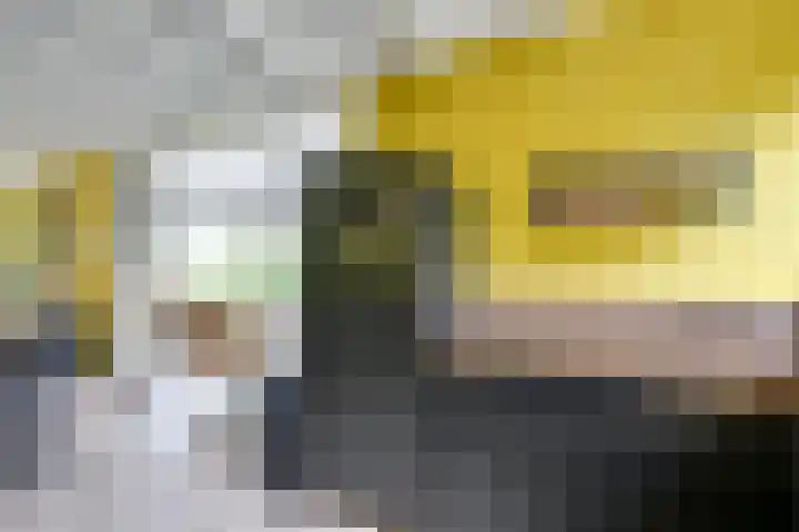 Pleinstraat 3 Hei- en Boeicop thumbnail 33