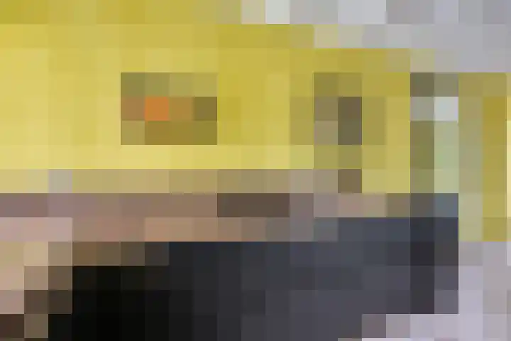 Pleinstraat 3 Hei- en Boeicop thumbnail 34
