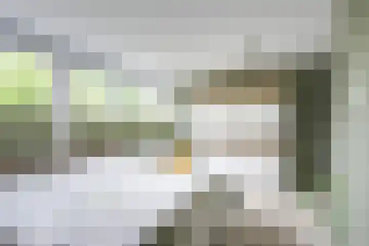 Pleinstraat 3 Hei- en Boeicop thumbnail 36