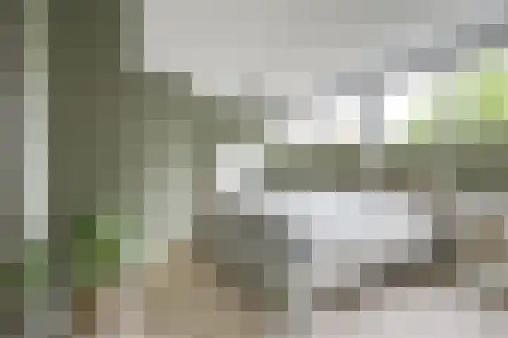 Pleinstraat 3 Hei- en Boeicop thumbnail 38