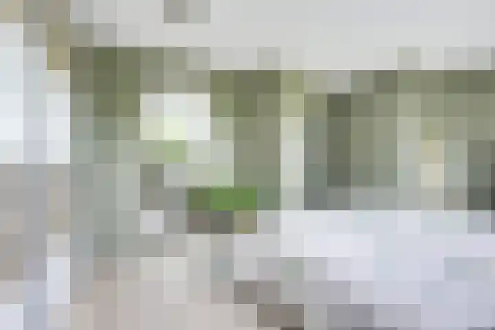Pleinstraat 3 Hei- en Boeicop thumbnail 39