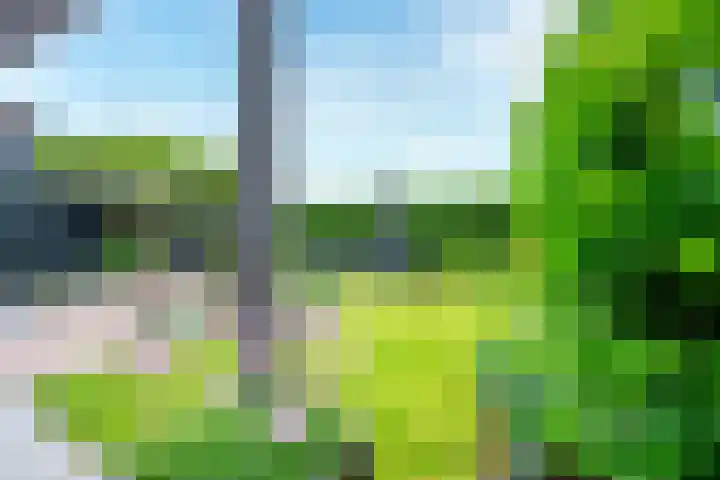 Pleinstraat 3 Hei- en Boeicop thumbnail 4