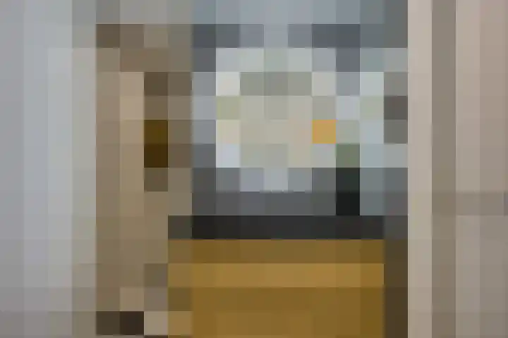 Pleinstraat 3 Hei- en Boeicop thumbnail 41