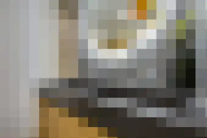 Pleinstraat 3 Hei- en Boeicop thumbnail 42