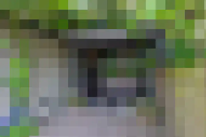 Pleinstraat 3 Hei- en Boeicop thumbnail 5