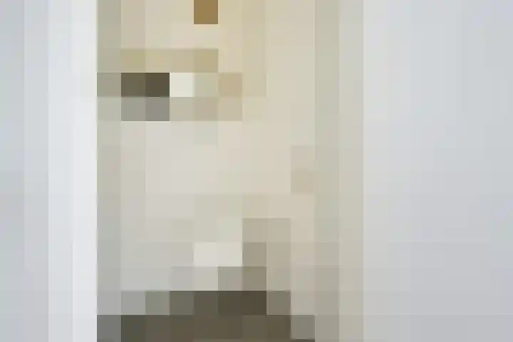 Pleinstraat 3 Hei- en Boeicop thumbnail 52