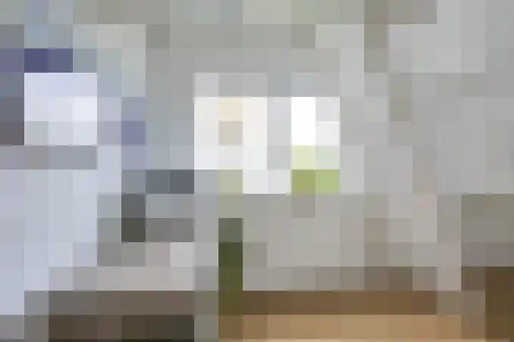 Pleinstraat 3 Hei- en Boeicop thumbnail 55
