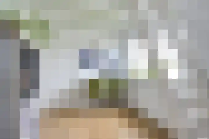 Pleinstraat 3 Hei- en Boeicop thumbnail 56