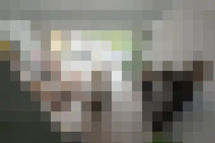 Pleinstraat 3 Hei- en Boeicop thumbnail 61