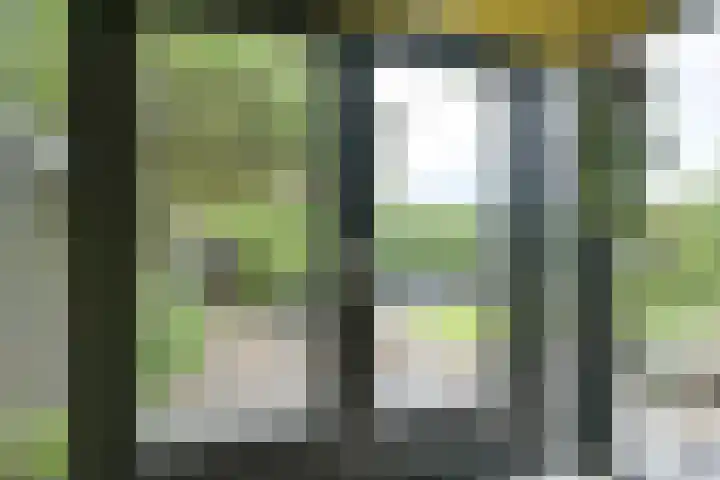 Pleinstraat 3 Hei- en Boeicop thumbnail 62
