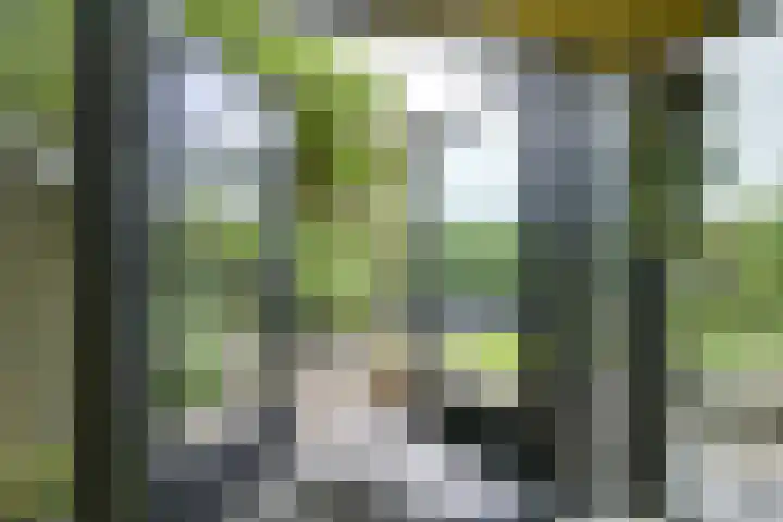 Pleinstraat 3 Hei- en Boeicop thumbnail 63