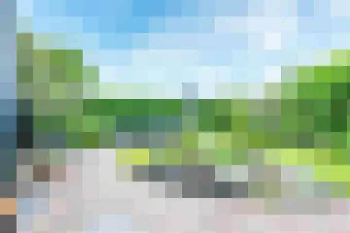 Pleinstraat 3 Hei- en Boeicop thumbnail 66