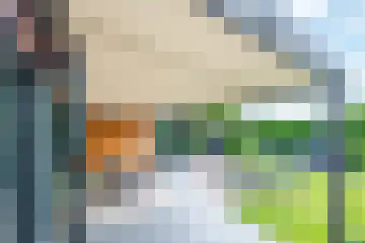 Pleinstraat 3 Hei- en Boeicop thumbnail 69
