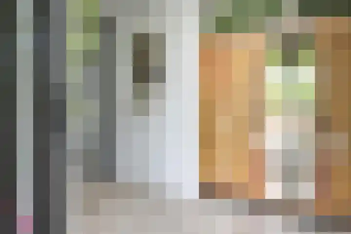 Pleinstraat 3 Hei- en Boeicop thumbnail 7