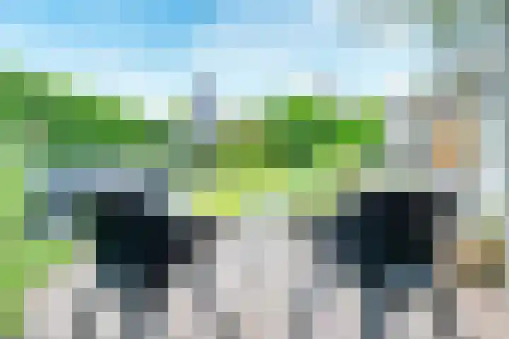 Pleinstraat 3 Hei- en Boeicop thumbnail 71