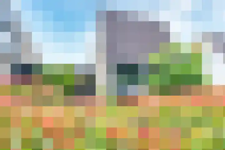 Pleinstraat 3 Hei- en Boeicop thumbnail 82
