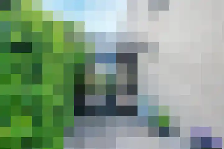 Pleinstraat 3 Hei- en Boeicop thumbnail 87