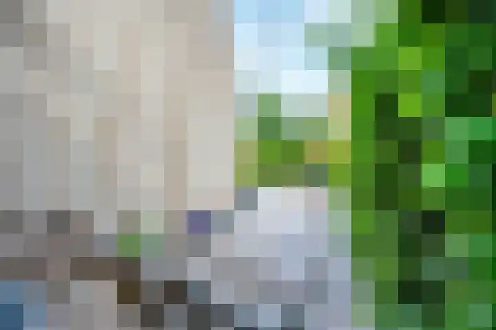 Pleinstraat 3 Hei- en Boeicop thumbnail 88