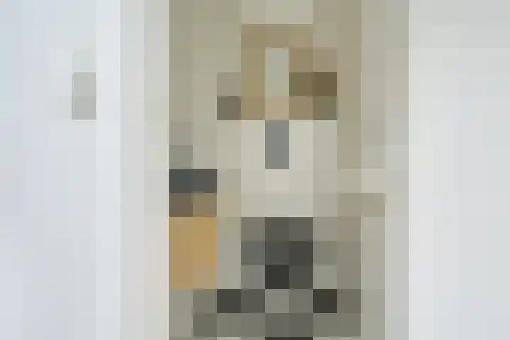 Pleinstraat 3 Hei- en Boeicop thumbnail 9