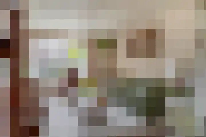 Pleinstraat 34 Bergambacht thumbnail 11
