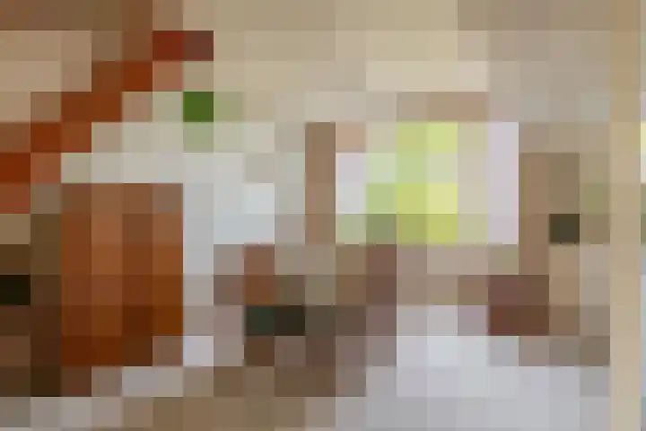 Pleinstraat 34 Bergambacht thumbnail 12