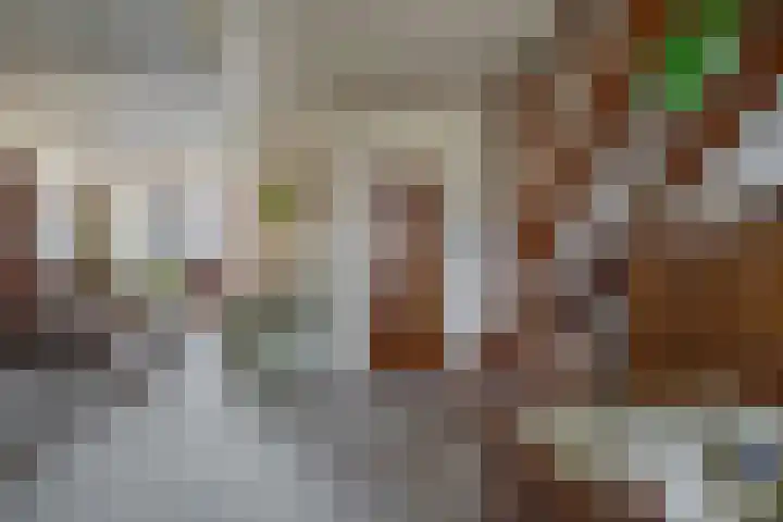 Pleinstraat 34 Bergambacht thumbnail 13
