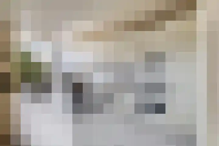 Pleinstraat 34 Bergambacht thumbnail 14