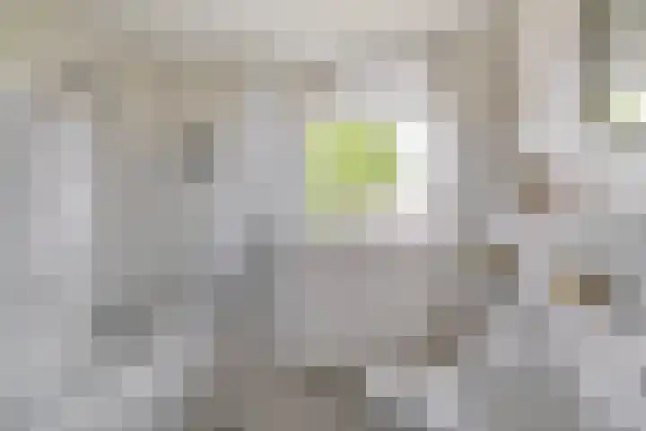 Pleinstraat 34 Bergambacht thumbnail 18