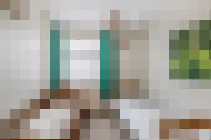 Pleinstraat 34 Bergambacht thumbnail 19