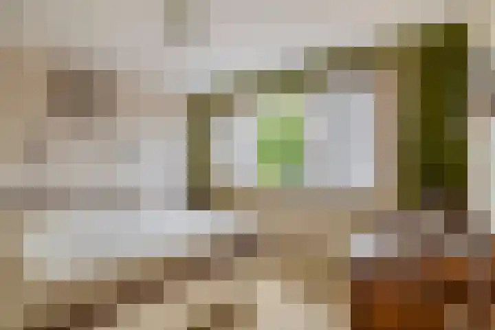 Pleinstraat 34 Bergambacht thumbnail 21