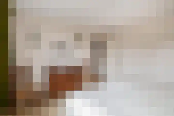Pleinstraat 34 Bergambacht thumbnail 22