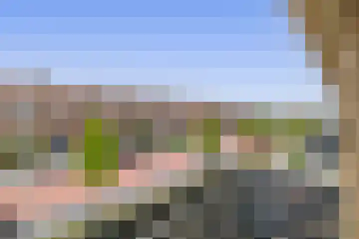 Pleinstraat 34 Bergambacht thumbnail 23