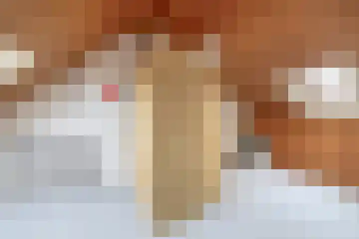 Pleinstraat 34 Bergambacht thumbnail 25