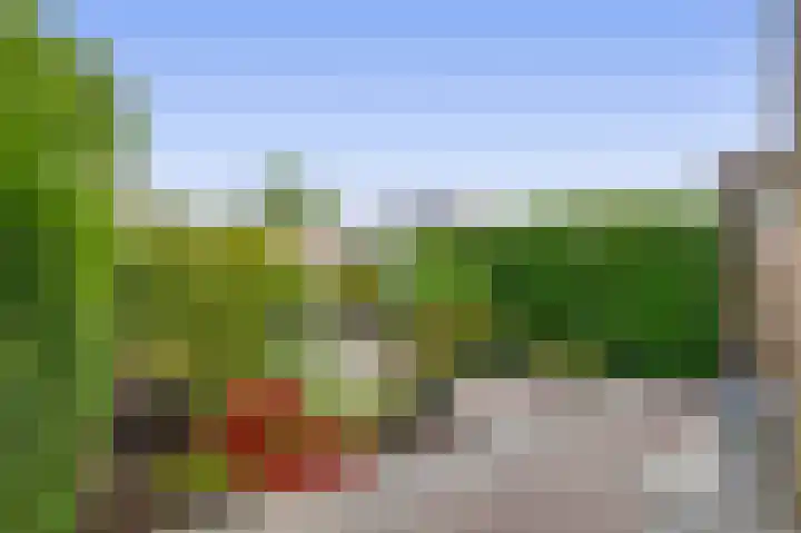 Pleinstraat 34 Bergambacht thumbnail 26