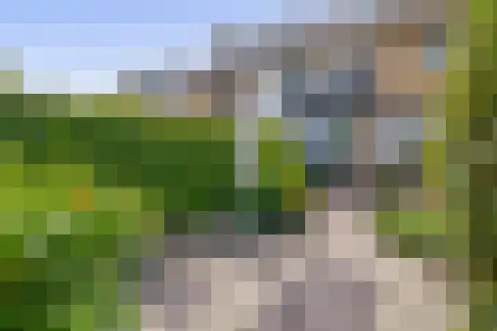 Pleinstraat 34 Bergambacht thumbnail 28