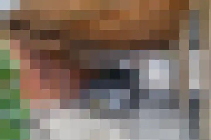 Pleinstraat 34 Bergambacht thumbnail 29