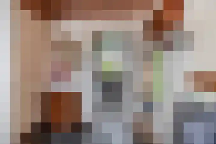 Pleinstraat 34 Bergambacht thumbnail 9