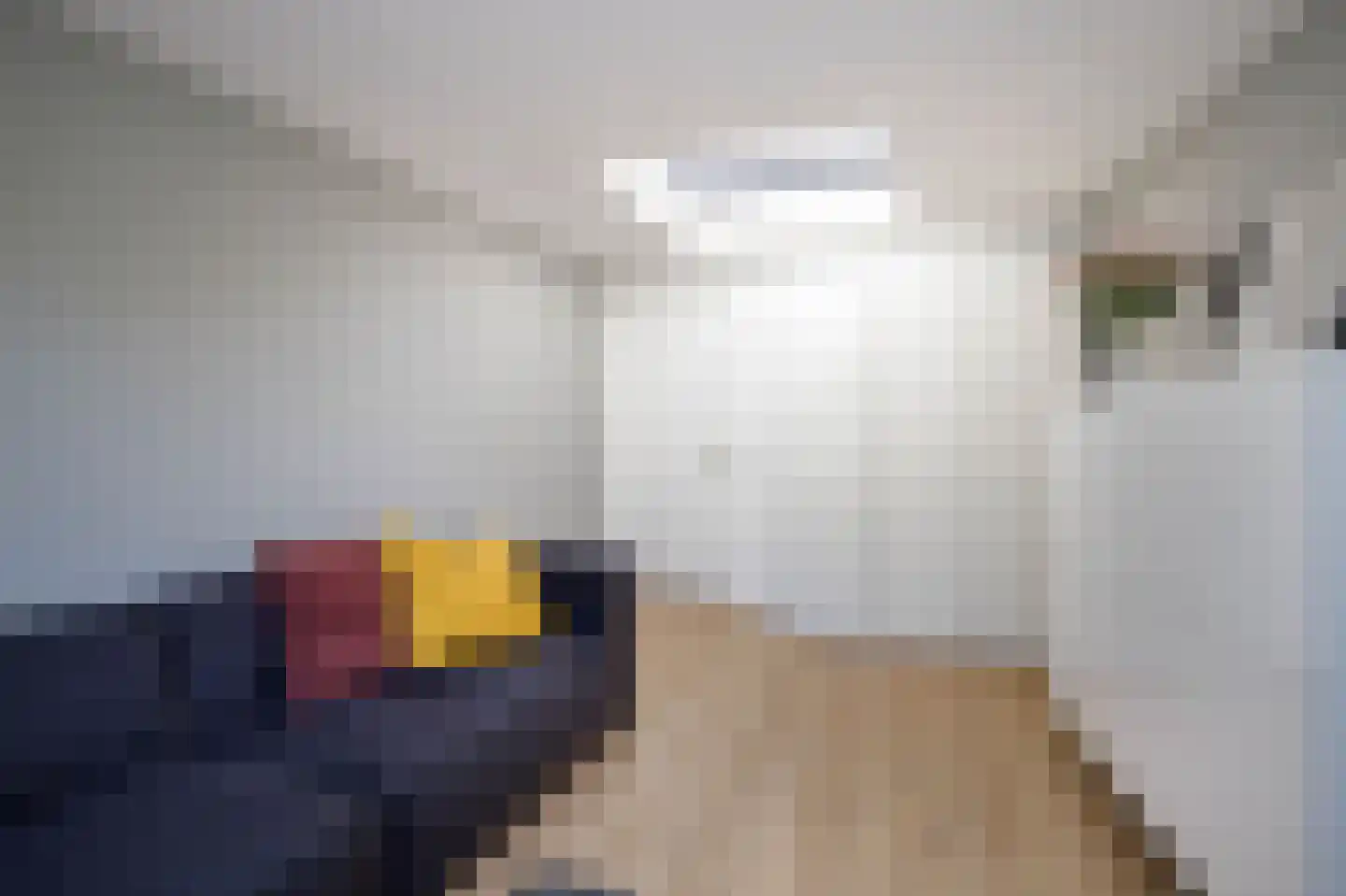 Pleinstraat 7 Bergambacht thumbnail 19