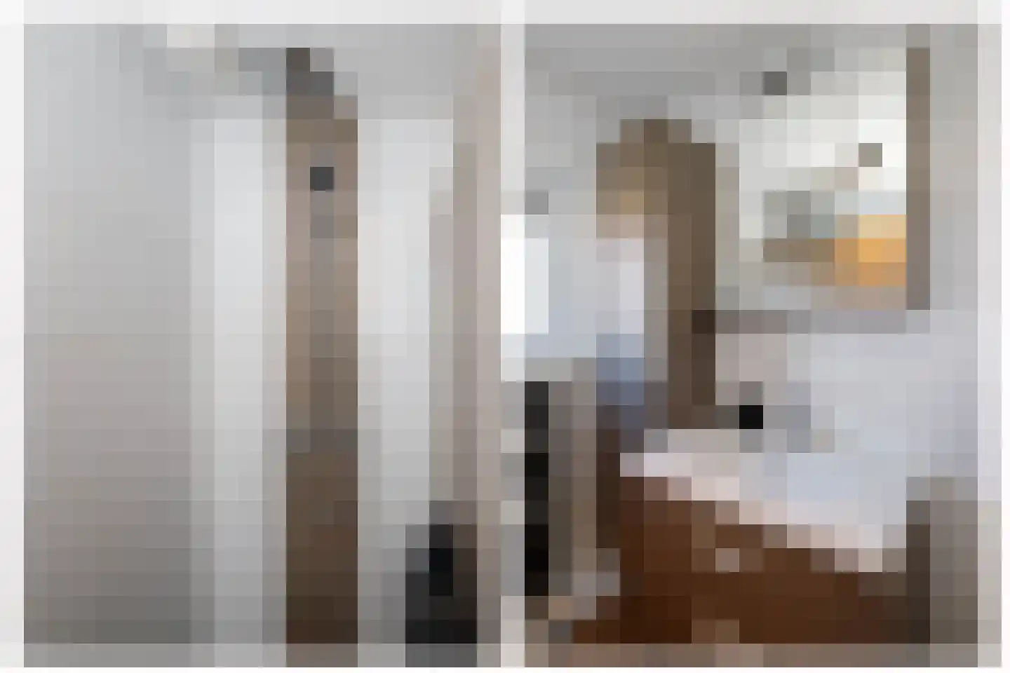 Pleinstraat 7 Bergambacht thumbnail 24