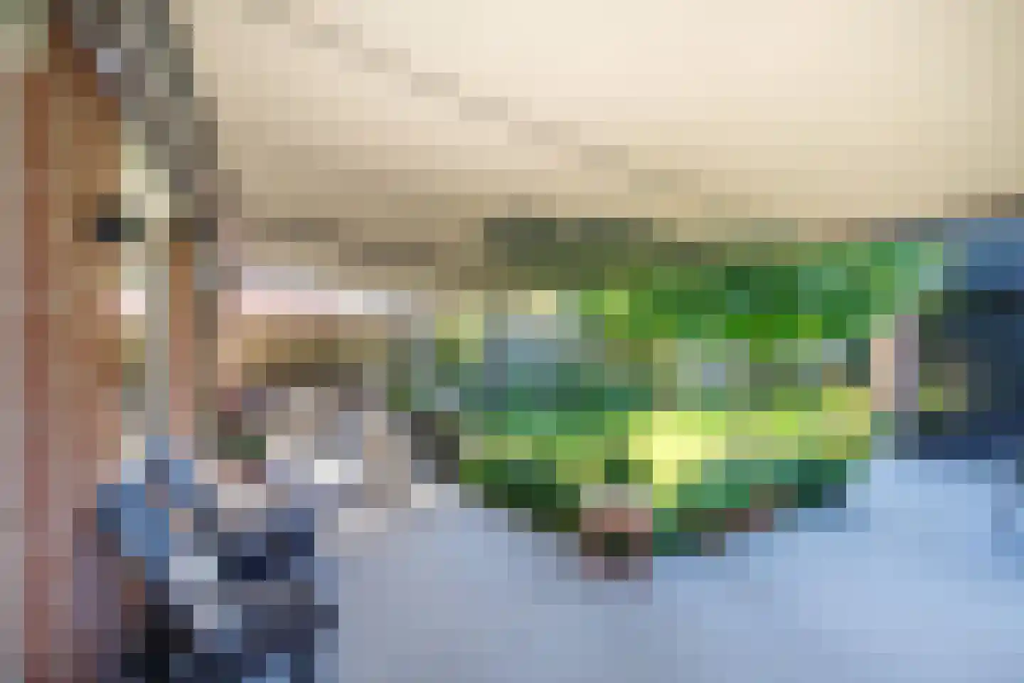 Pleinstraat 7 Bergambacht thumbnail 35